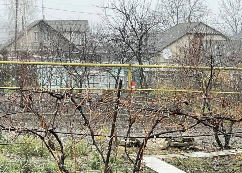 FOTO // NINGE în Moldova. Primii fulgi fac furori pe rețelele de socializare